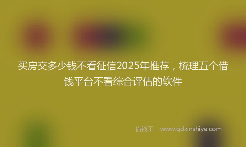 买房交多少钱不看征信2025年推荐，梳理五个借钱平台不看综合评估的软件