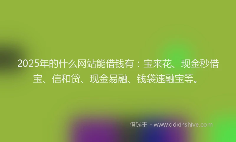 2025年的什么网站能借钱有:宝来花、现金秒借宝、信和贷、现金易融、钱袋速融宝等。
