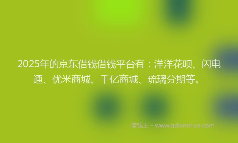 2025年的京东借钱借钱平台有：洋洋花呗、闪电通、优米商城、千亿商城、琉璃分期等。