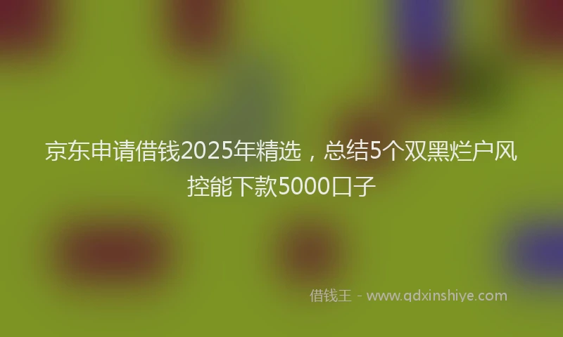 京东申请借钱2025年精选，总结5个双黑烂户风控能下款5000口子