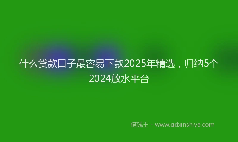 什么贷款口子最容易下款2025年精选，归纳5个2024放水平台