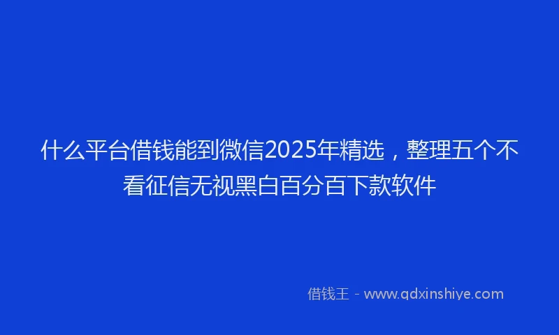 什么平台借钱能到微信2025年精选，整理五个不看征信无视黑白百分百下款软件