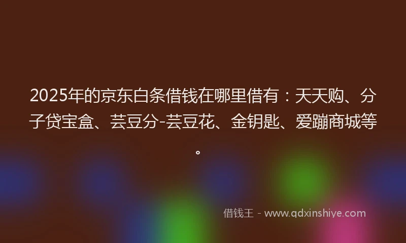 2025年的京东白条借钱在哪里借有:天天购、分子贷宝盒、芸豆分-芸豆花、金钥匙、爱蹦商城等。