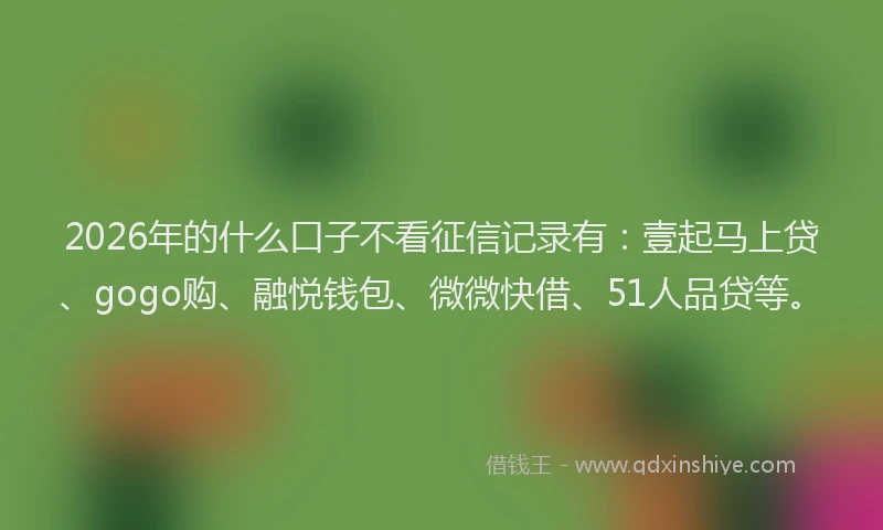 2026年的什么口子不看征信记录有：壹起马上贷、gogo购、融悦钱包、微微快借、51人品贷等。