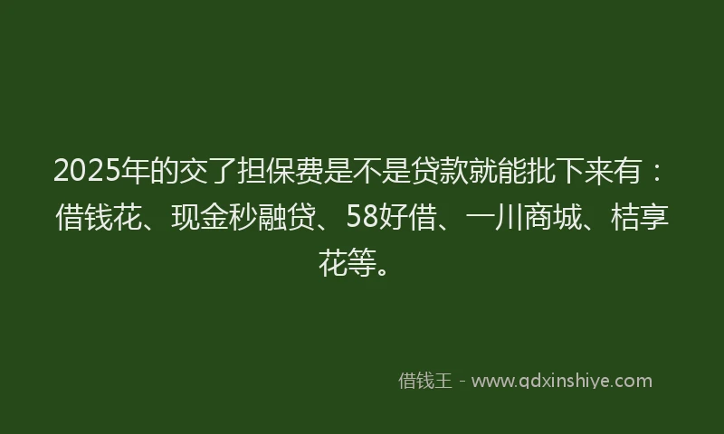 2025年的交了担保费是不是贷款就能批下来有：借钱花、现金秒融贷、58好借、一川商城、桔享花等。