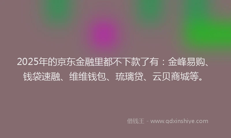 2025年的京东金融里都不下款了有:金峰易购、钱袋速融、维维钱包、琉璃贷、云贝商城等。