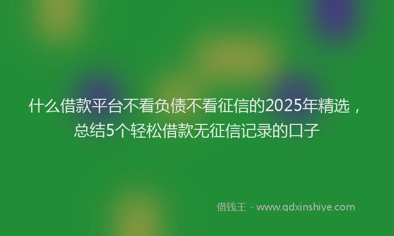 什么借款平台不看负债不看征信的2025年精选，总结5个轻松借款无征信记录的口子