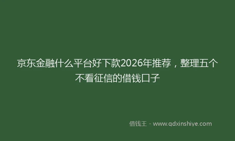 京东金融什么平台好下款2026年推荐,整理五个不看征信的借钱口子