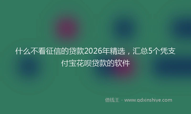 什么不看征信的贷款2026年精选，汇总5个凭支付宝花呗贷款的软件