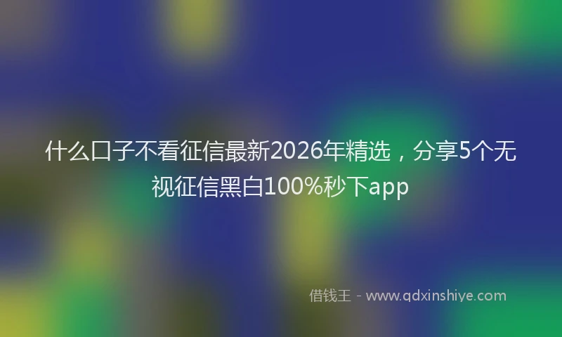 什么口子不看征信最新2026年精选，分享5个无视征信黑白100%秒下app