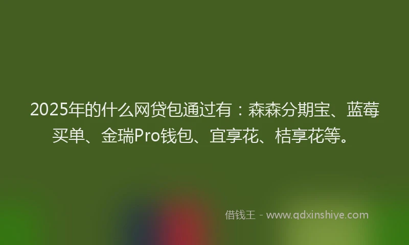 2025年的什么网贷包通过有：森森分期宝、蓝莓买单、金瑞Pro钱包、宜享花、桔享花等。