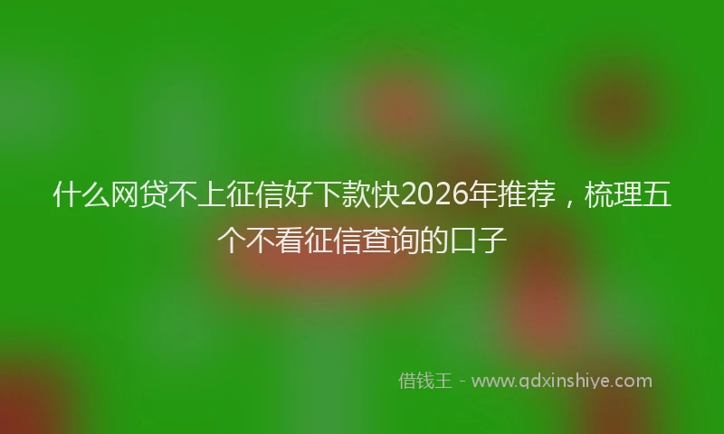 什么网贷不上征信好下款快2026年推荐，梳理五个不看征信查询的口子