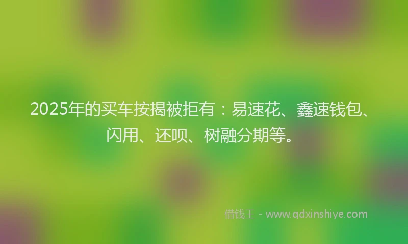 2025年的买车按揭被拒有：易速花、鑫速钱包、闪用、还呗、树融分期等。