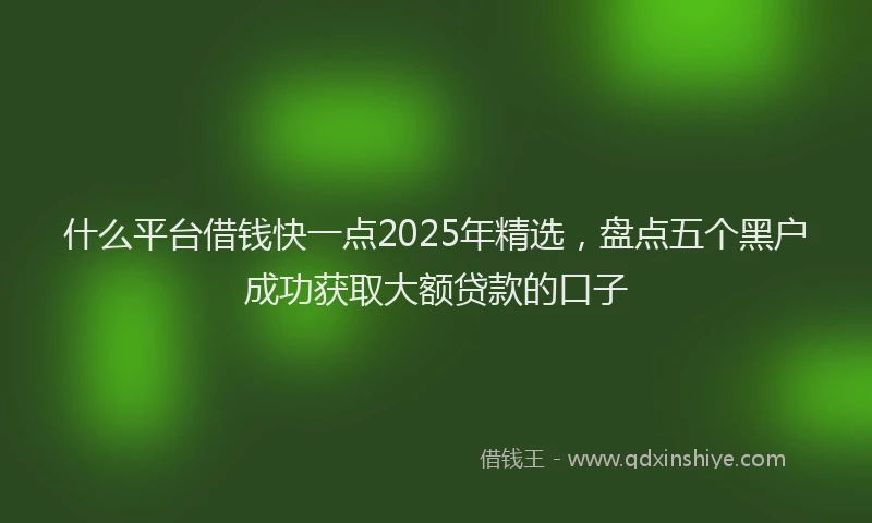 什么平台借钱快一点2025年精选,盘点五个黑户成功获取大额贷款的口子