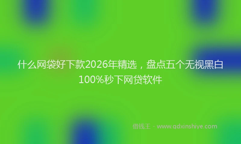 什么网袋好下款2026年精选，盘点五个无视黑白100%秒下网贷软件