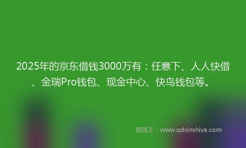 2025年的京东借钱3000万有：任意下、人人快借、金瑞Pro钱包、现金中心、快鸟钱包等。