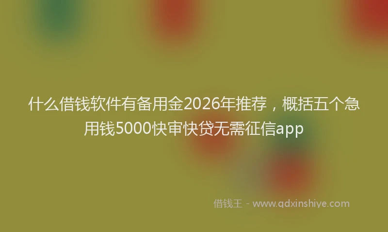什么借钱软件有备用金2026年推荐，概括五个急用钱5000快审快贷无需征信app