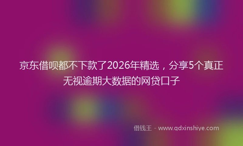 京东借呗都不下款了2026年精选，分享5个真正无视逾期大数据的网贷口子
