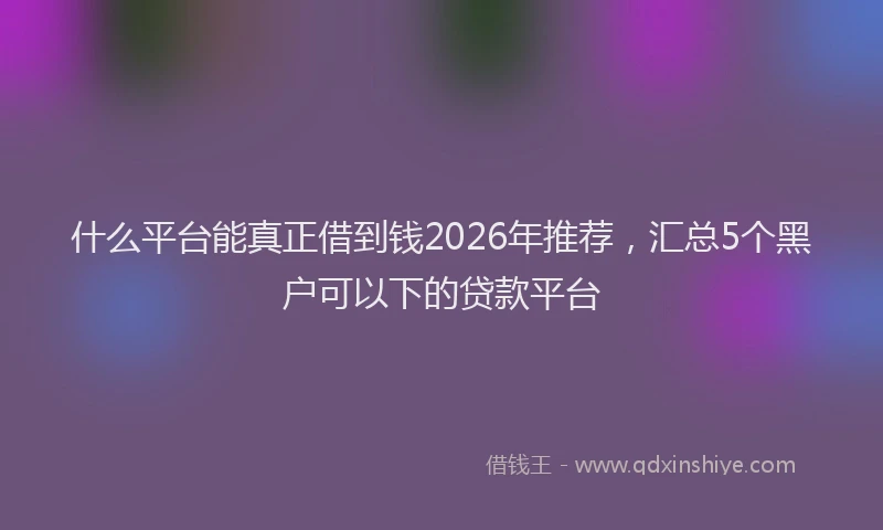什么平台能真正借到钱2026年推荐，汇总5个黑户可以下的贷款平台