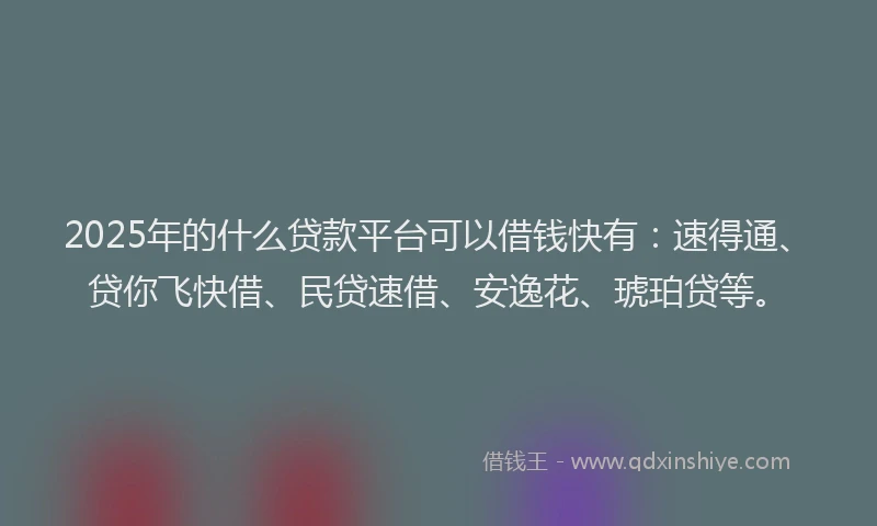 2025年的什么贷款平台可以借钱快有:速得通、贷你飞快借、民贷速借、安逸花、琥珀贷等。