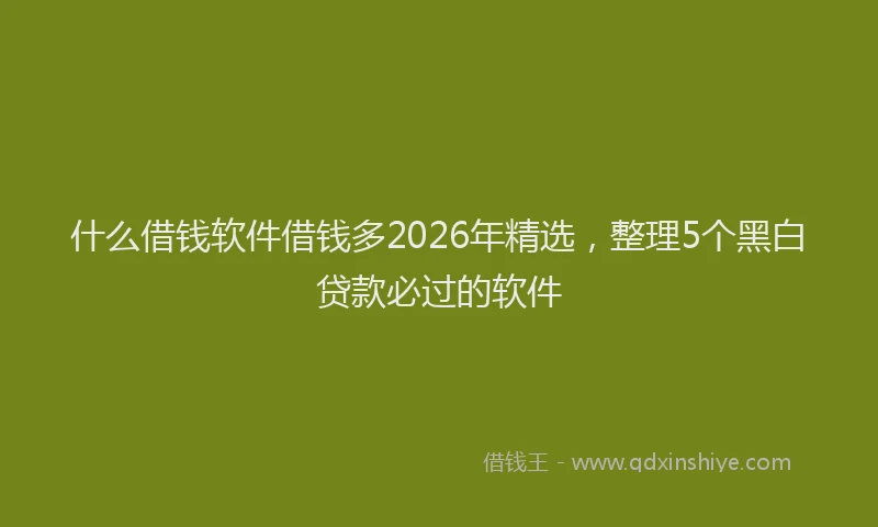 什么借钱软件借钱多2026年精选，整理5个黑白贷款必过的软件