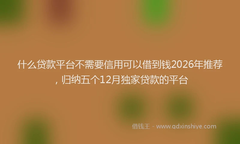 什么贷款平台不需要信用可以借到钱2026年推荐，归纳五个12月独家贷款的平台