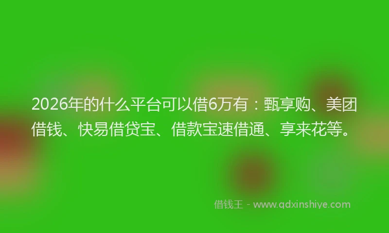 2026年的什么平台可以借6万有：甄享购、美团借钱、快易借贷宝、借款宝速借通、享来花等。