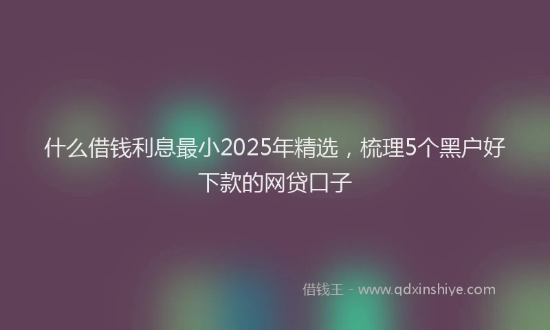 什么借钱利息最小2025年精选，梳理5个黑户好下款的网贷口子