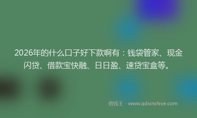 2026年的什么口子好下款啊有:钱袋管家、现金闪贷、借款宝快融、日日盈、速贷宝盒等。