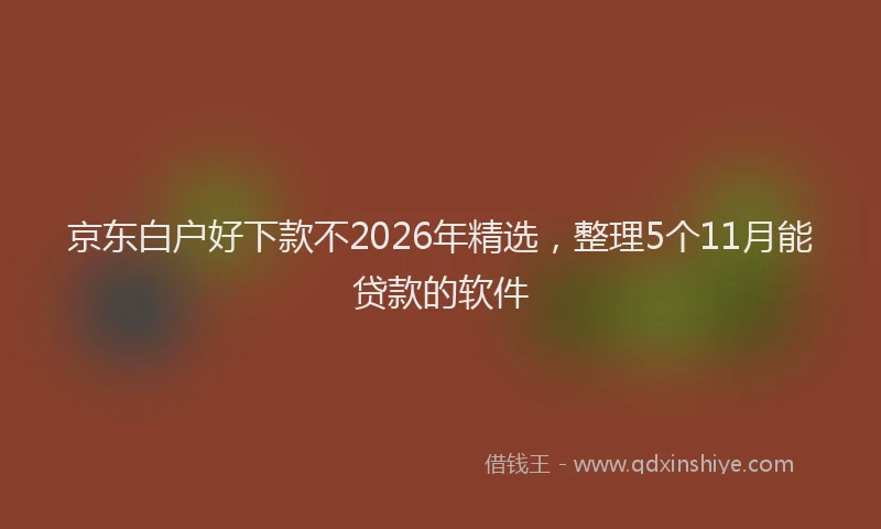 京东白户好下款不2026年精选，整理5个11月能贷款的软件