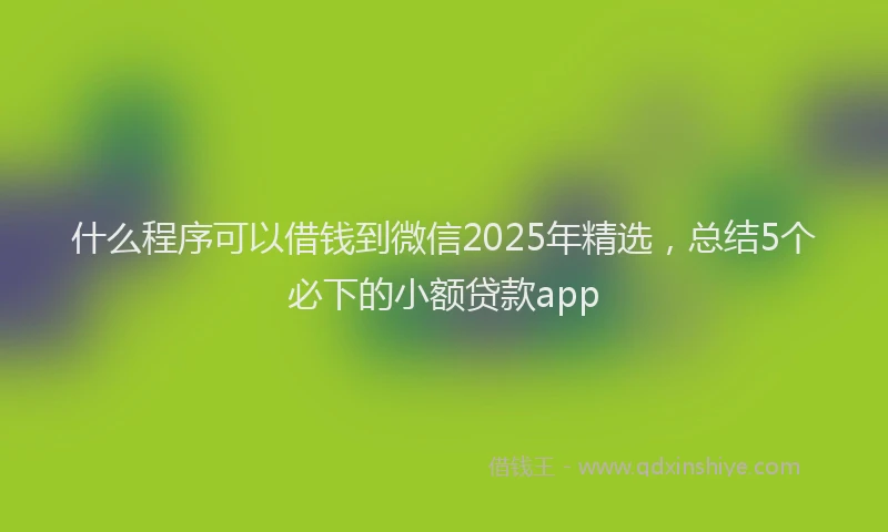 什么程序可以借钱到微信2025年精选，总结5个必下的小额贷款app
