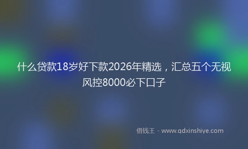 什么贷款18岁好下款2026年精选，汇总五个无视风控8000必下口子