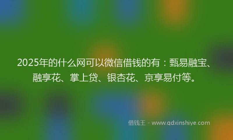 2025年的什么网可以微信借钱的有：甄易融宝、融享花、掌上贷、银杏花、京享易付等。