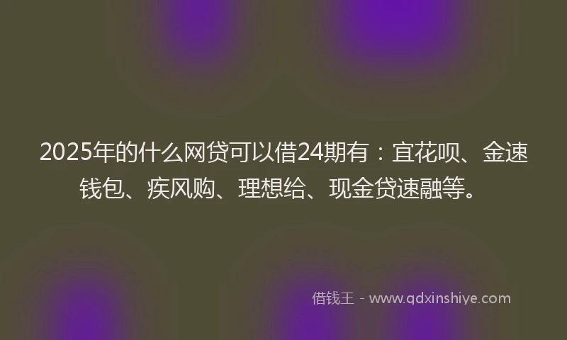 2025年的什么网贷可以借24期有：宜花呗、金速钱包、疾风购、理想给、现金贷速融等。