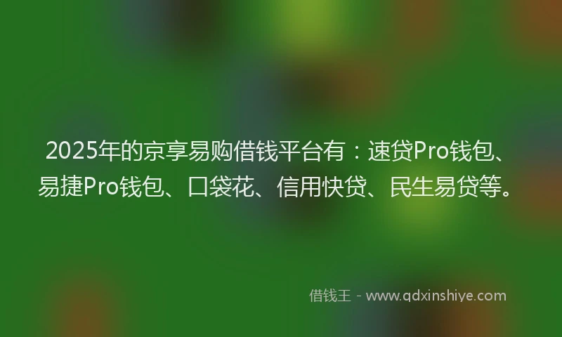 2025年的京享易购借钱平台有：速贷Pro钱包、易捷Pro钱包、口袋花、信用快贷、民生易贷等。