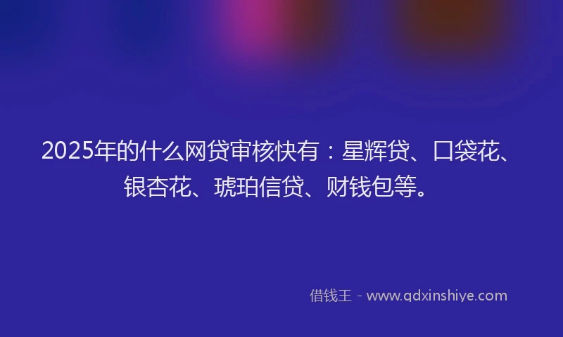 2025年的什么网贷审核快有：星辉贷、口袋花、银杏花、琥珀信贷、财钱包等。