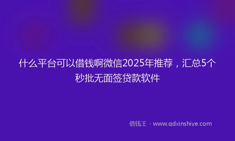 什么平台可以借钱啊微信2025年推荐，汇总5个秒批无面签贷款软件