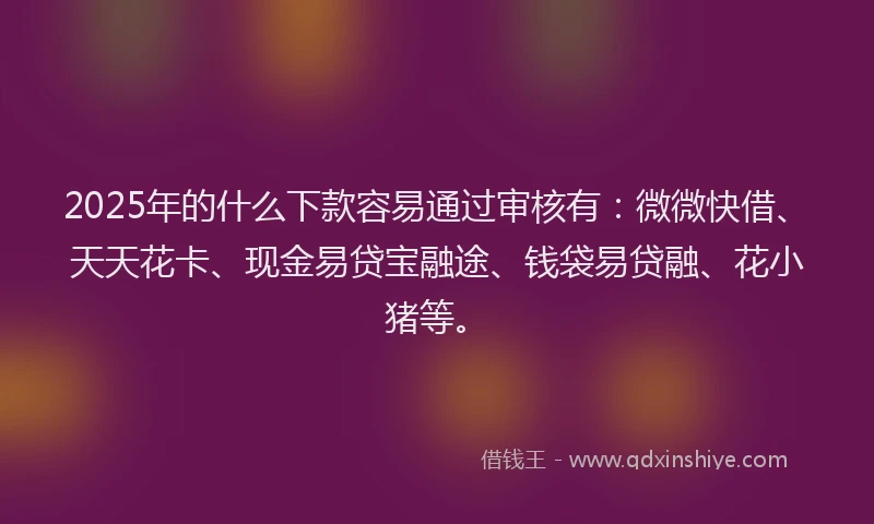 2025年的什么下款容易通过审核有：微微快借、天天花卡、现金易贷宝融途、钱袋易贷融、花小猪等。