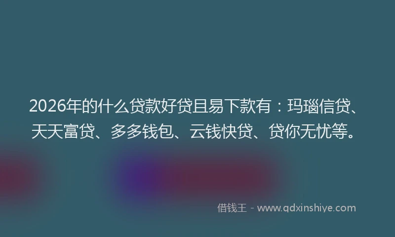 2026年的什么贷款好贷且易下款有:玛瑙信贷、天天富贷、多多钱包、云钱快贷、贷你无忧等。