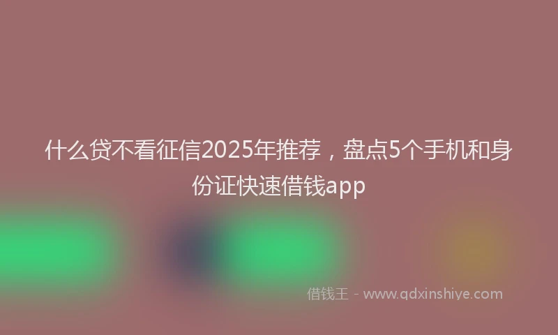什么贷不看征信2025年推荐，盘点5个手机和身份证快速借钱app