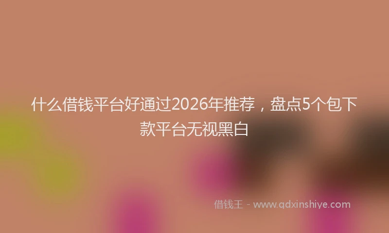 什么借钱平台好通过2026年推荐，盘点5个包下款平台无视黑白