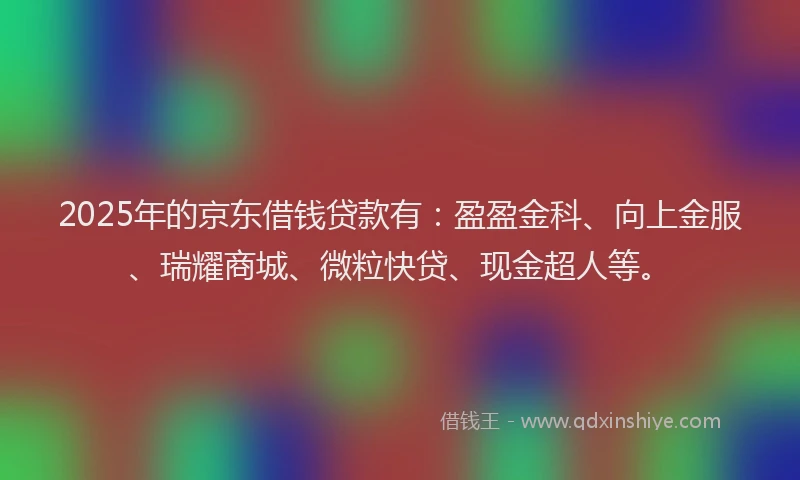 2025年的京东借钱贷款有：盈盈金科、向上金服、瑞耀商城、微粒快贷、现金超人等。