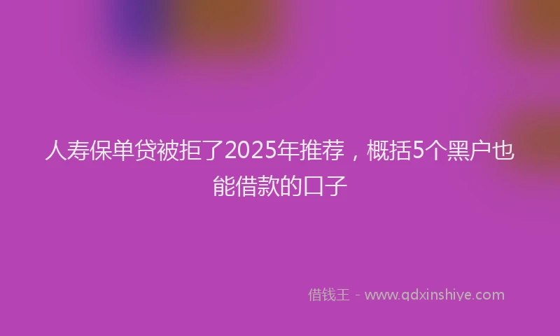 人寿保单贷被拒了2025年推荐，概括5个黑户也能借款的口子