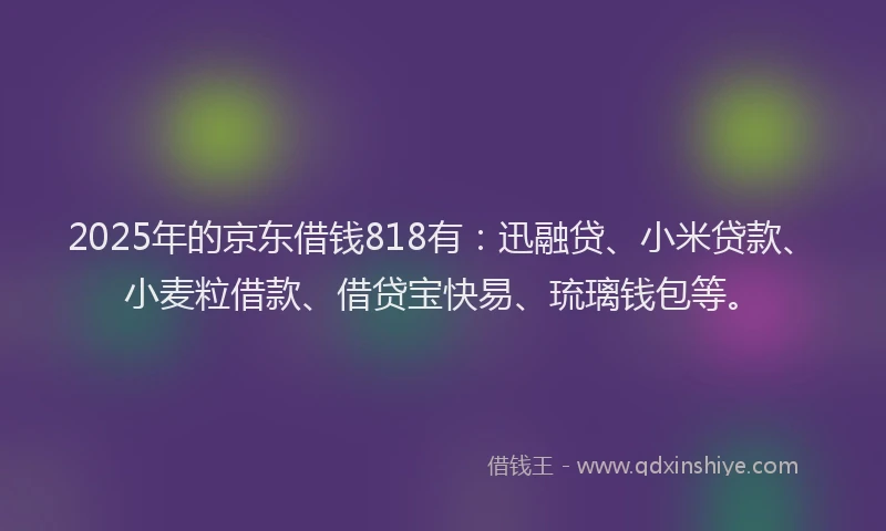 2025年的京东借钱818有：迅融贷、小米贷款、小麦粒借款、借贷宝快易、琉璃钱包等。