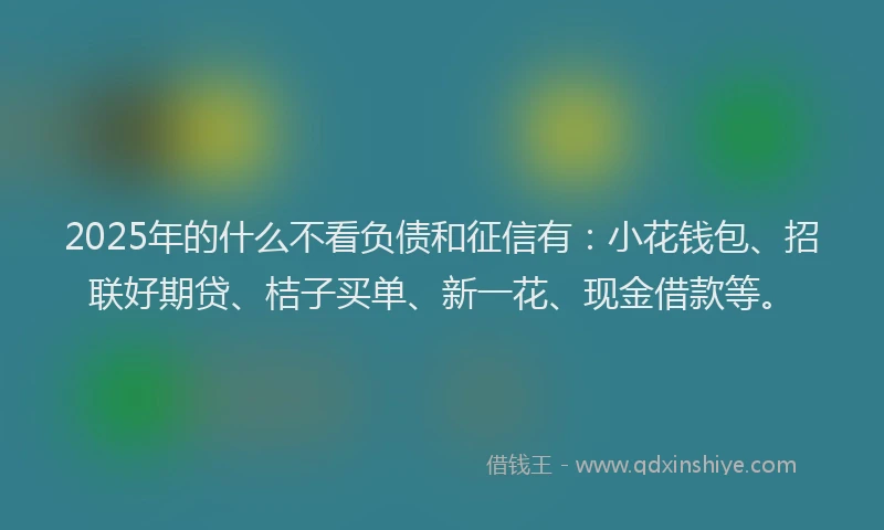 2025年的什么不看负债和征信有:小花钱包、招联好期贷、桔子买单、新一花、现金借款等。