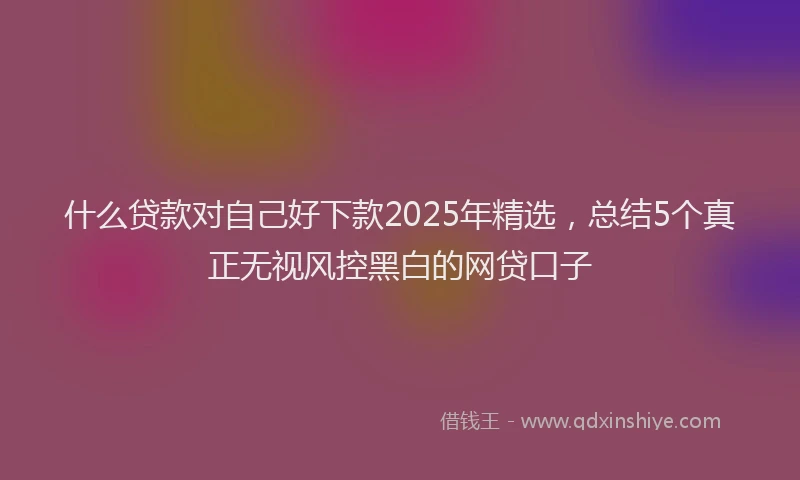 什么贷款对自己好下款2025年精选，总结5个真正无视风控黑白的网贷口子