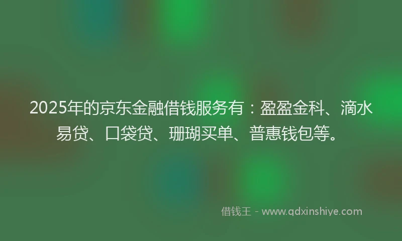 2025年的京东金融借钱服务有：盈盈金科、滴水易贷、口袋贷、珊瑚买单、普惠钱包等。
