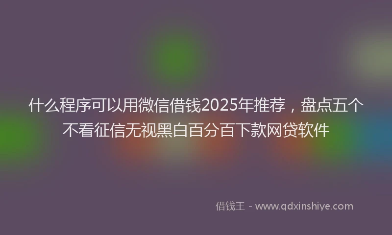 什么程序可以用微信借钱2025年推荐，盘点五个不看征信无视黑白百分百下款网贷软件