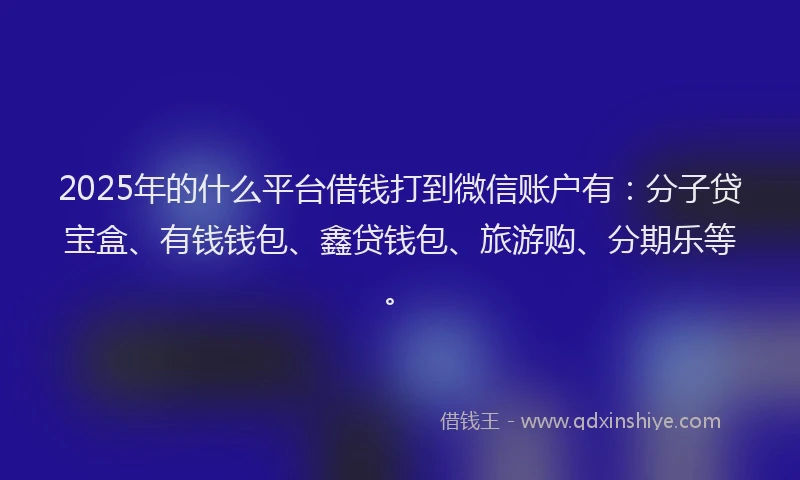 2025年的什么平台借钱打到微信账户有：分子贷宝盒、有钱钱包、鑫贷钱包、旅游购、分期乐等。