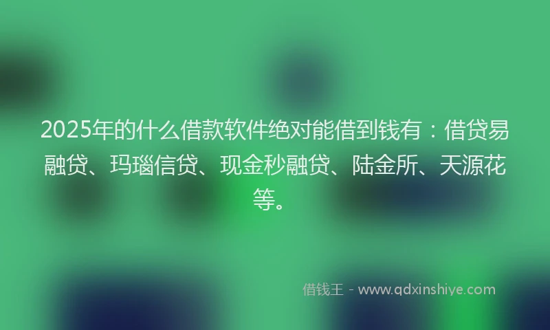 2025年的什么借款软件绝对能借到钱有：借贷易融贷、玛瑙信贷、现金秒融贷、陆金所、天源花等。